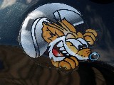 Avatar du membre