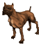 Avatar du membre