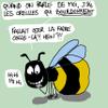 Avatar du membre