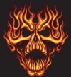 Avatar du membre