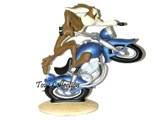Avatar du membre